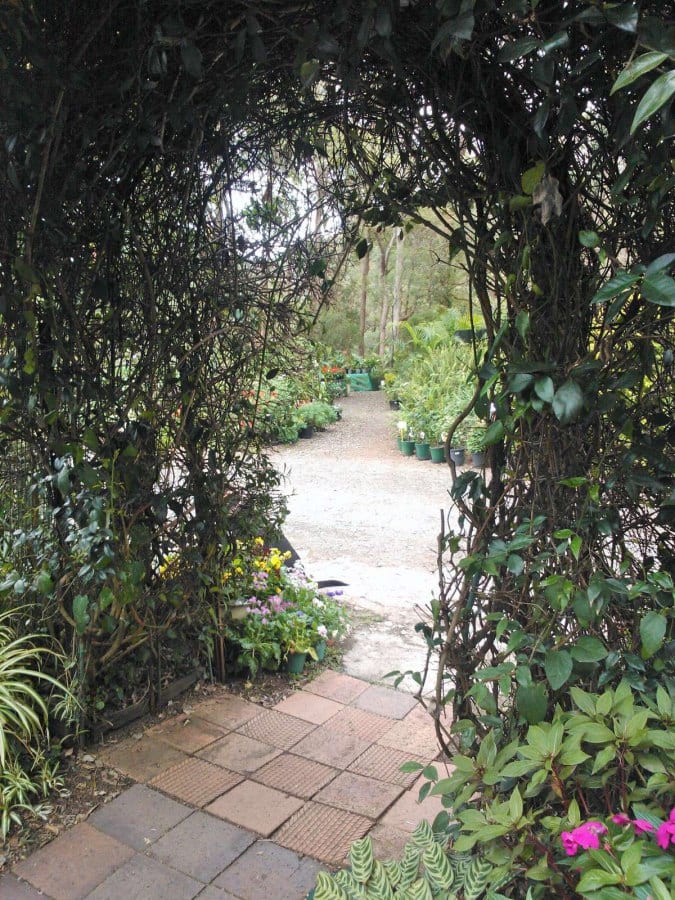 West Mt Cotton Nursery & Gardens, Mount Cotton, Brisbane Zomato Australia